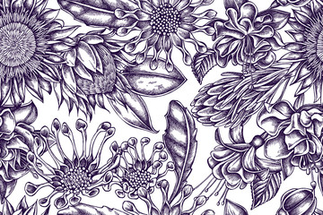 Artistic pattern with african daisies, fuchsia, king protea