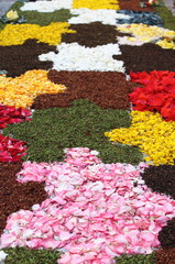 Fototapeta na wymiar Multicolored floral carpet