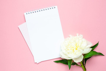 Beautiful pink peony flower and notebook with copy space for your text on pastel pink background