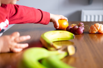 Baby s hand manipulating different fruits on a wooden table