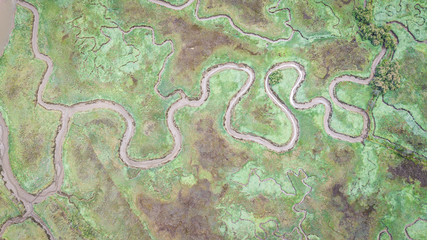 aerial view of serpentine marsh