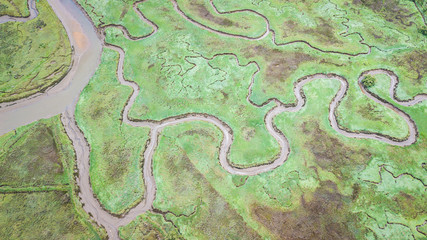 aerial view of serpentine marh