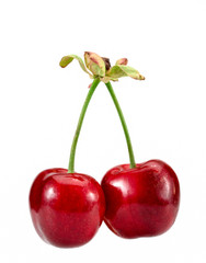 cherries isolated on white background clipping path