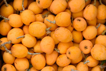 Many fruits of medlar.