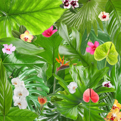 Fototapety  Piękne tropikalne liście i kwiaty jako tło