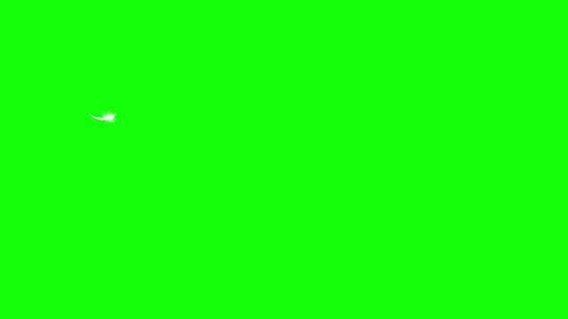 Flying Feather. Green Screen. Seamless Looping. 3D Animation. 4K. Ultra High Definition. 3840x2160.