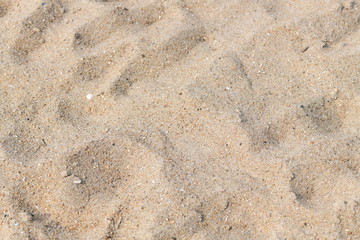 closeup on dry sand on a beach