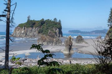 View of the Pacific Coast