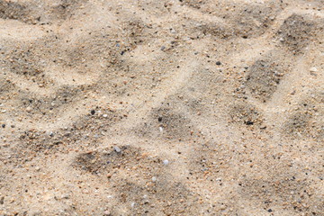 closeup on dry sand on a beach
