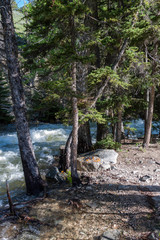 Mountain stream in Montana