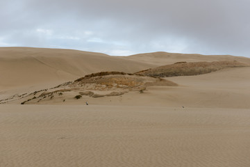Fototapeta na wymiar Te Paki sand dunes under an overcast sky. Northland, New Zealand.
