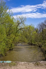 North branch of the Chicago River lined with trees on a bright Spring day with concrete barrier in foreground