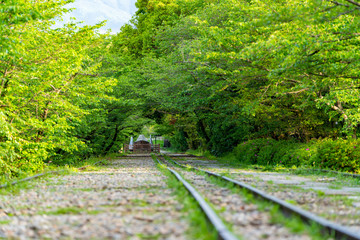 Obraz premium [京都府]蹴上インクライン