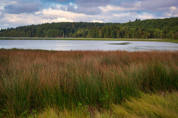 Oyster Bay Spring Colors