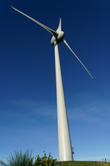 Brooklyn Wind Turbine, Wellington, New Zealand.