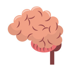 Human brain cartoon isolated symbol