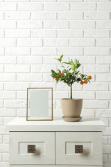 Potted citrus tree and empty frame on cabinet against brick wall. Space for text