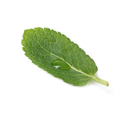 Wet leaf of fresh mint isolated on white