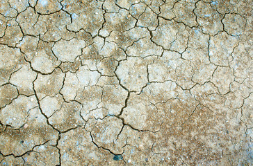 Cracked soil
