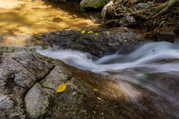 Yellow leaves on a stream in autumn