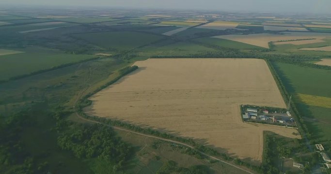 General view of the fields with wheat, panic grass, maize, barley, oats, rhy