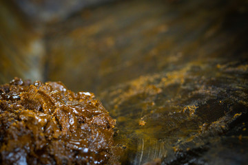 produccion de piloncillo