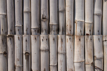 Bamboo Texture Background