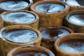 moldes de produccion de piloncillo azucar 
