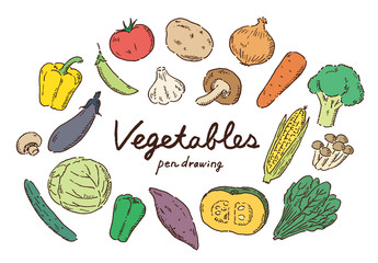 野菜ペン画カラー