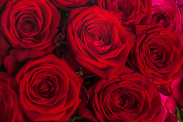 beautiful bouquet of red rose flower. the work of the florist at a flower shop.