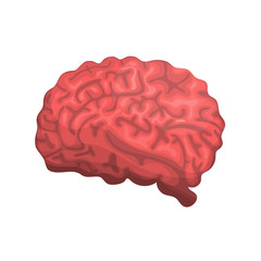 Brain or mind side view vector icon for medical apps and websites