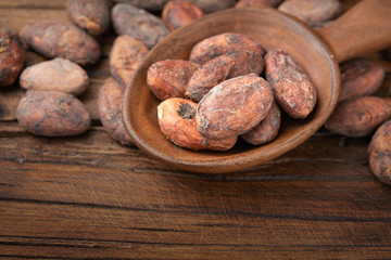 dried cacao beans on the old wooden board
