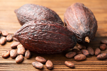 dried cacao pods on the old wooden board