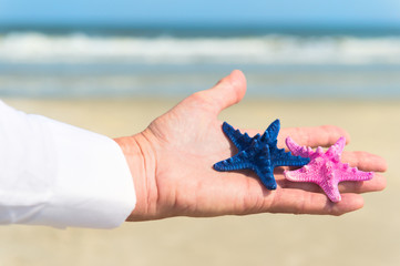 Starfish in hand business man