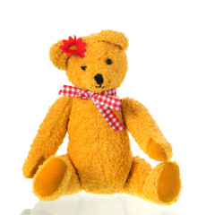 Stuffed toy bear with bow