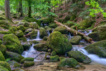 Water streaming over rocky cascades along famous Gertelbach waterfalls, Black Forest, Germany