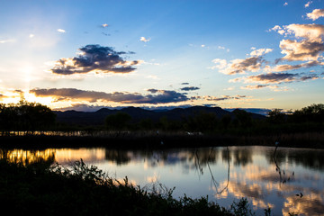 Sunset at Bosque del Apache National Wildlife Refuge