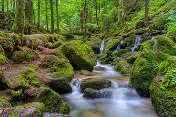 Fototapeta na wymiar Wild romantic hiking trail along famous Gertelbach waterfalls, Black Forest, Germany
