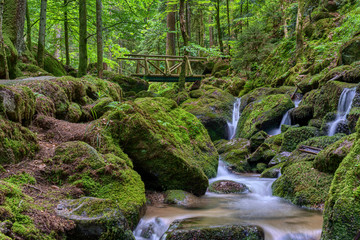 Wild romantic hiking trail along famous Gertelbach waterfalls, Black Forest, Germany