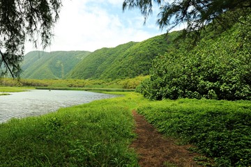 Fototapeta na wymiar pololu valley island destination- Hawaii