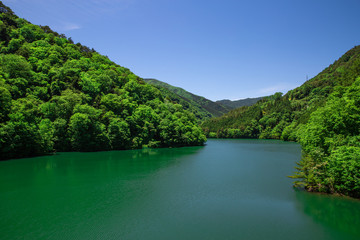 Fototapeta premium 【飯田】松川ダムのダム湖