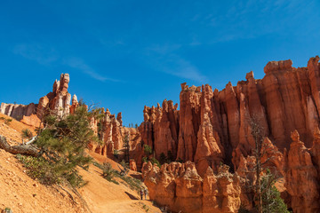 Fototapeta premium Bryce Canyon National Park, Utah, USA