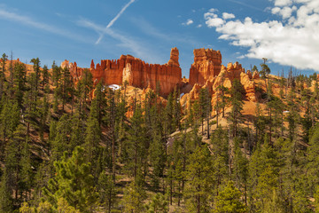Naklejka premium Bryce Canyon National Park, Utah, USA