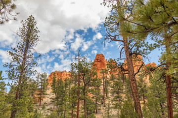 Bryce Canyon National Park, Utah, USA