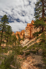 Fototapeta premium Bryce Canyon National Park, Utah, USA