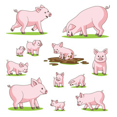 Collection of cute cartoon pigs. Isolated on white background. © GabiWolf