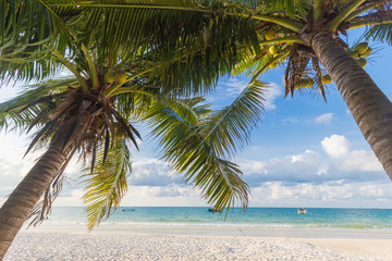 Fototapeta na wymiar Coconut palm trees against blue sky and beautiful beach in samet island, Thailand.