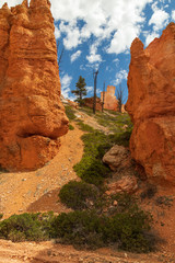 Bryce Canyon National Park, Utah, USA