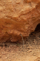  Bolder held up by wooden stick