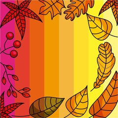 autumn leaves natural decoration foliage